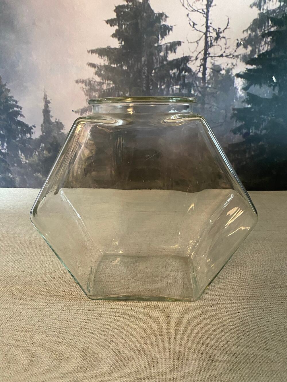 Large Vintage Hexagon Glass Jar Terrarium Canister Vtg 9" x 9"
